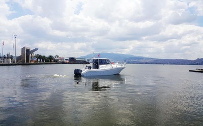 Mercan Bonito 32 OB