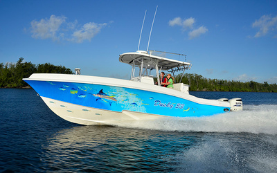 Dusky 33 XF