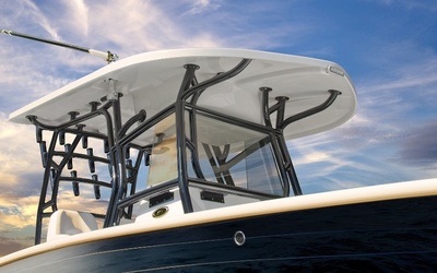 Cape Horn 31T