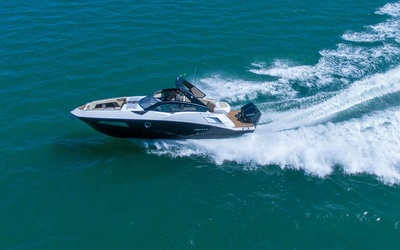 FS 290 Outboard