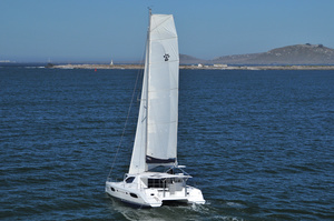 Leopard 44