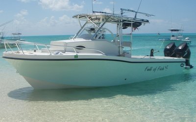 Dusky 278 Fish Around Cruiser