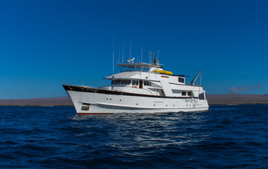 Moonen Beluga
