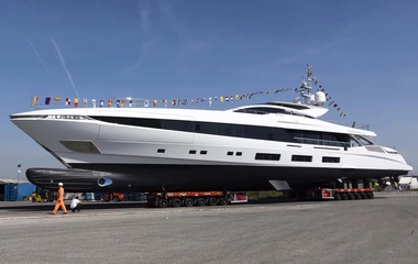 Mangusta Re Leone