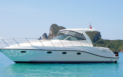 Oryx 36
