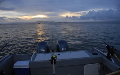 Duckworth 28 Offshore
