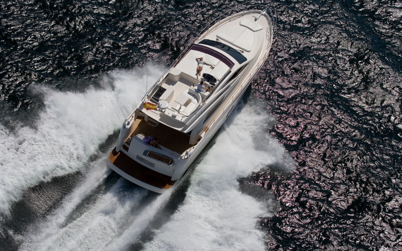Rodman Muse 54