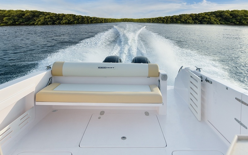 Silvercraft 31