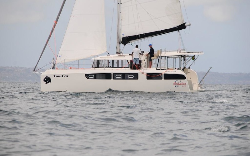 Dolphin 380