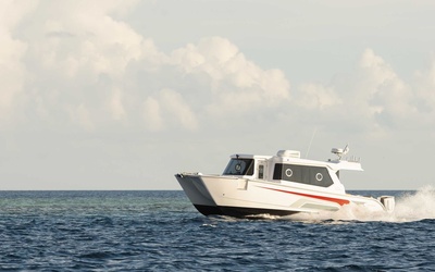 SilverCat 34 Lux