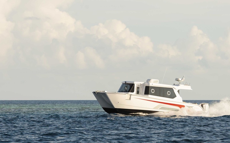 SilverCat 34 Lux
