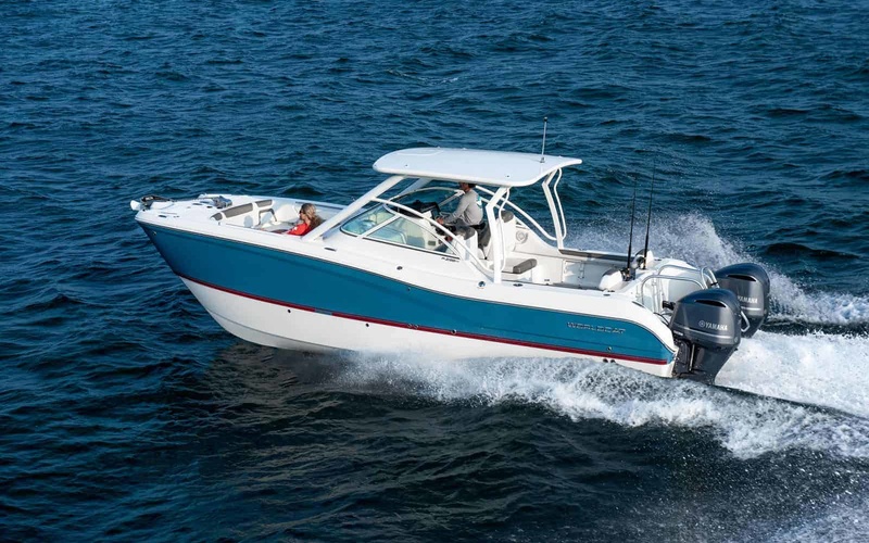 World Cat 296DC