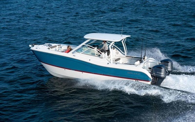 World Cat 296DC