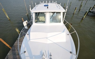 Steiger Craft 23 Miami