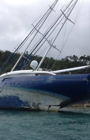 A sea giant washed ashore in Vanuatu