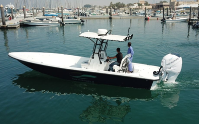 Ocean Boats 28SB