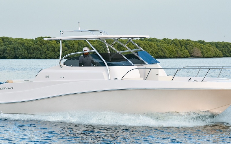 Silvercraft 31