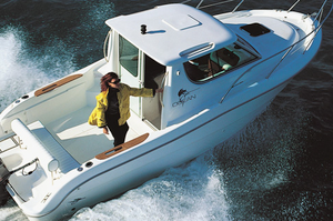 Sessa Dorado 22