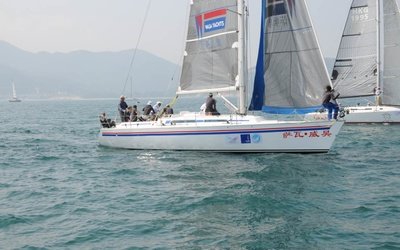 WASA 41
