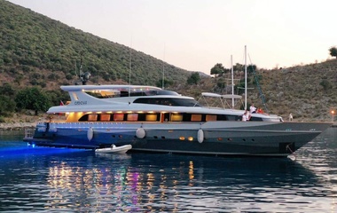 Ses Crocus