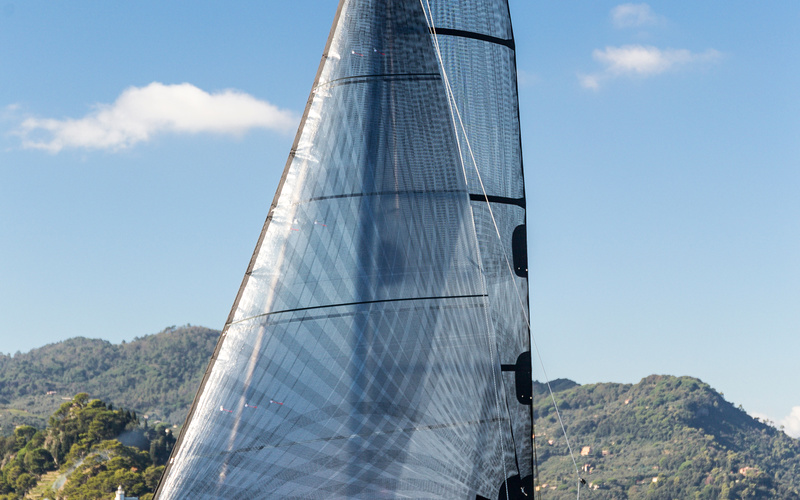 Dragonfly 25