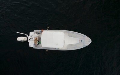 Dusky 242 Bay