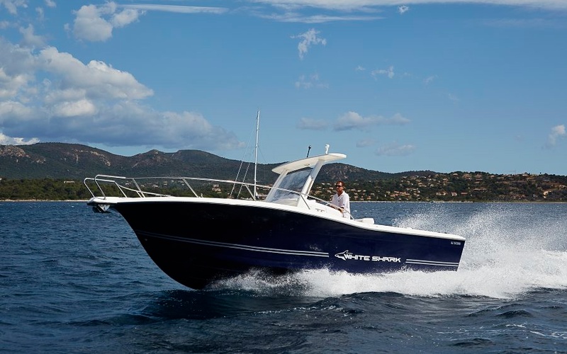 White Shark 296CC