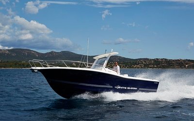 White Shark 296CC