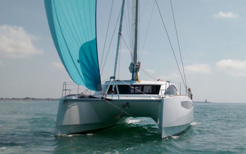 C-Cat 37