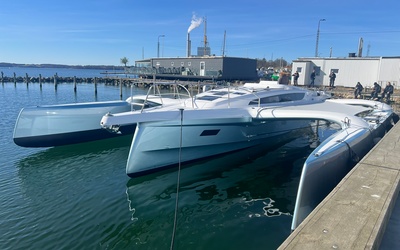 Dragonfly 36