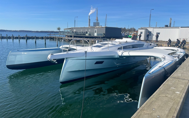 Dragonfly 36