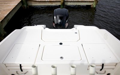 Bayliner T21Bay