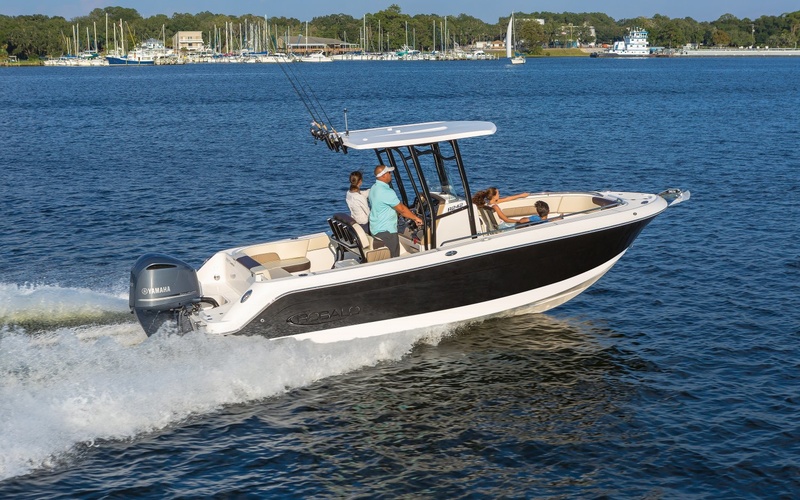 Robalo R242EX