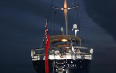 Oyster Tiger