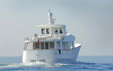 Catarsi Shika Kamata