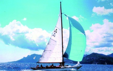 J.J. Taylor & Sons White Wings