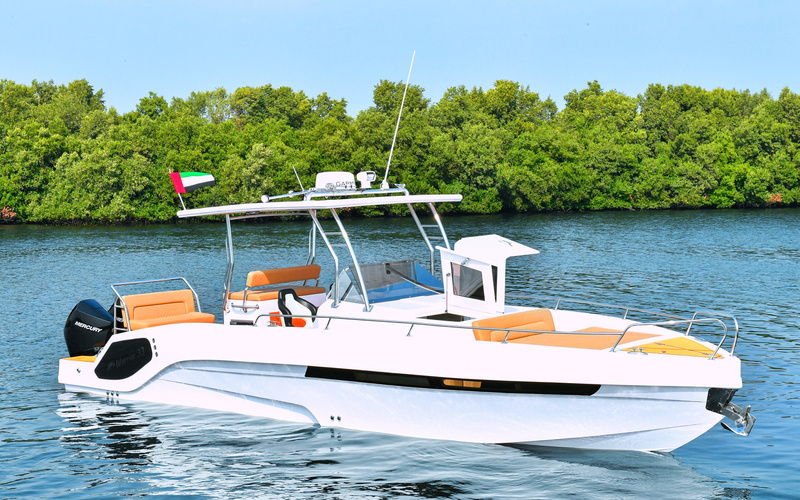 Al Shaali Warrior 33