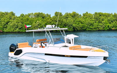 Al Shaali Warrior 33