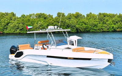 Al Shaali Warrior 33