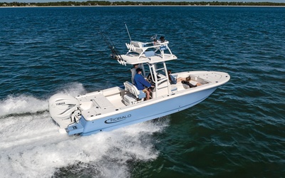 Robalo 266 Cayman SD