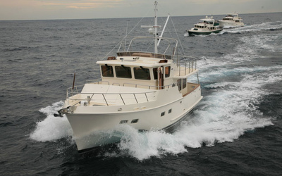 Selene 45