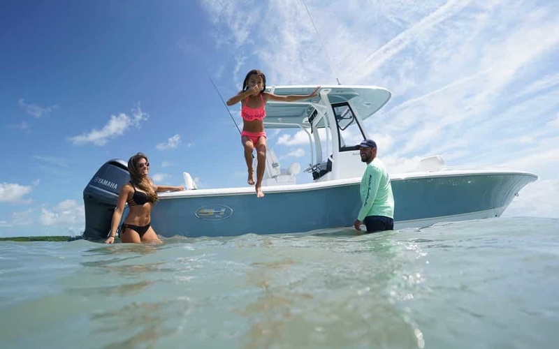 Sea Hunt BX 25 FS