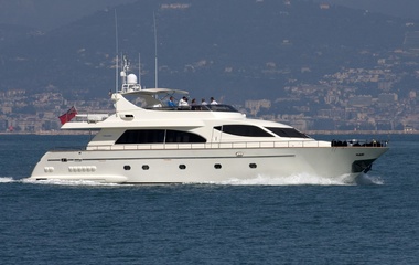 Falcon Bora