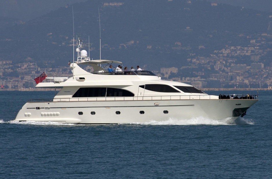 Falcon Bora