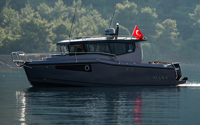 Aluxa 26