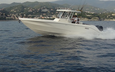 Capelli Osia 315