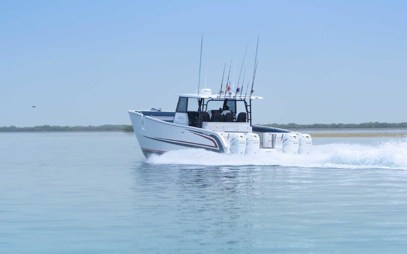 SilverCat 40CC