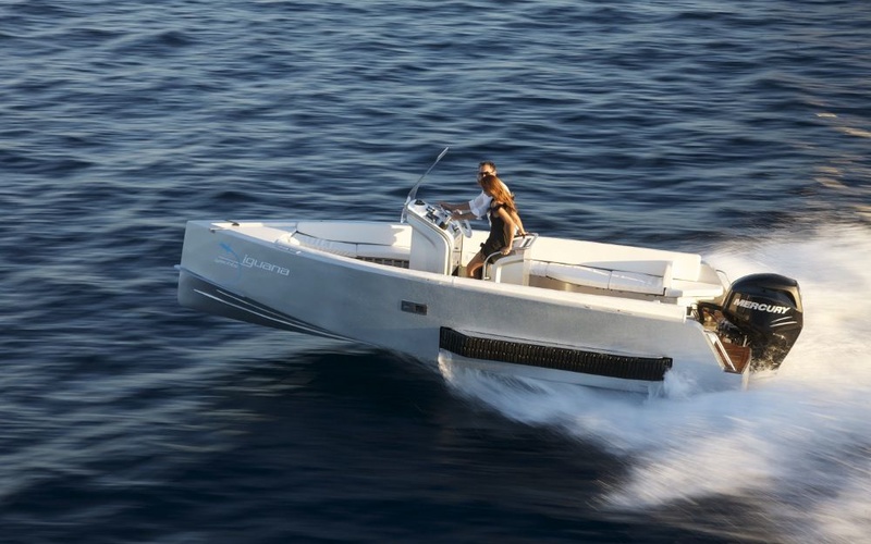 Iguana 24