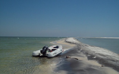 Apex A-10 RIB