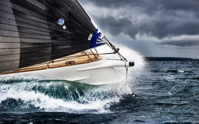 Shogun 50
